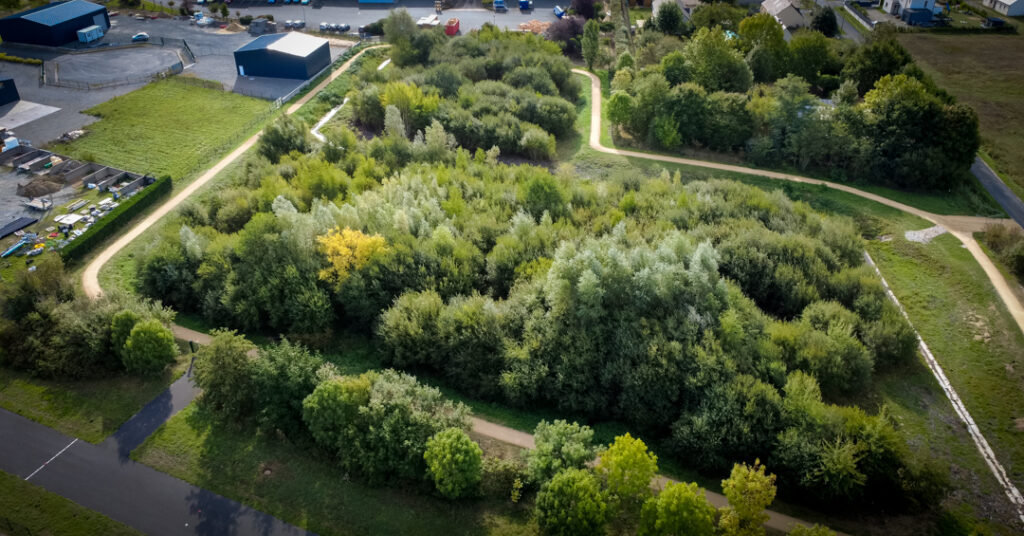 Réhabilitation bassin de rétention