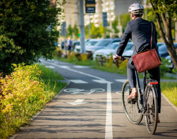 Groupe Pigeon Enrobe Clarus.jpg