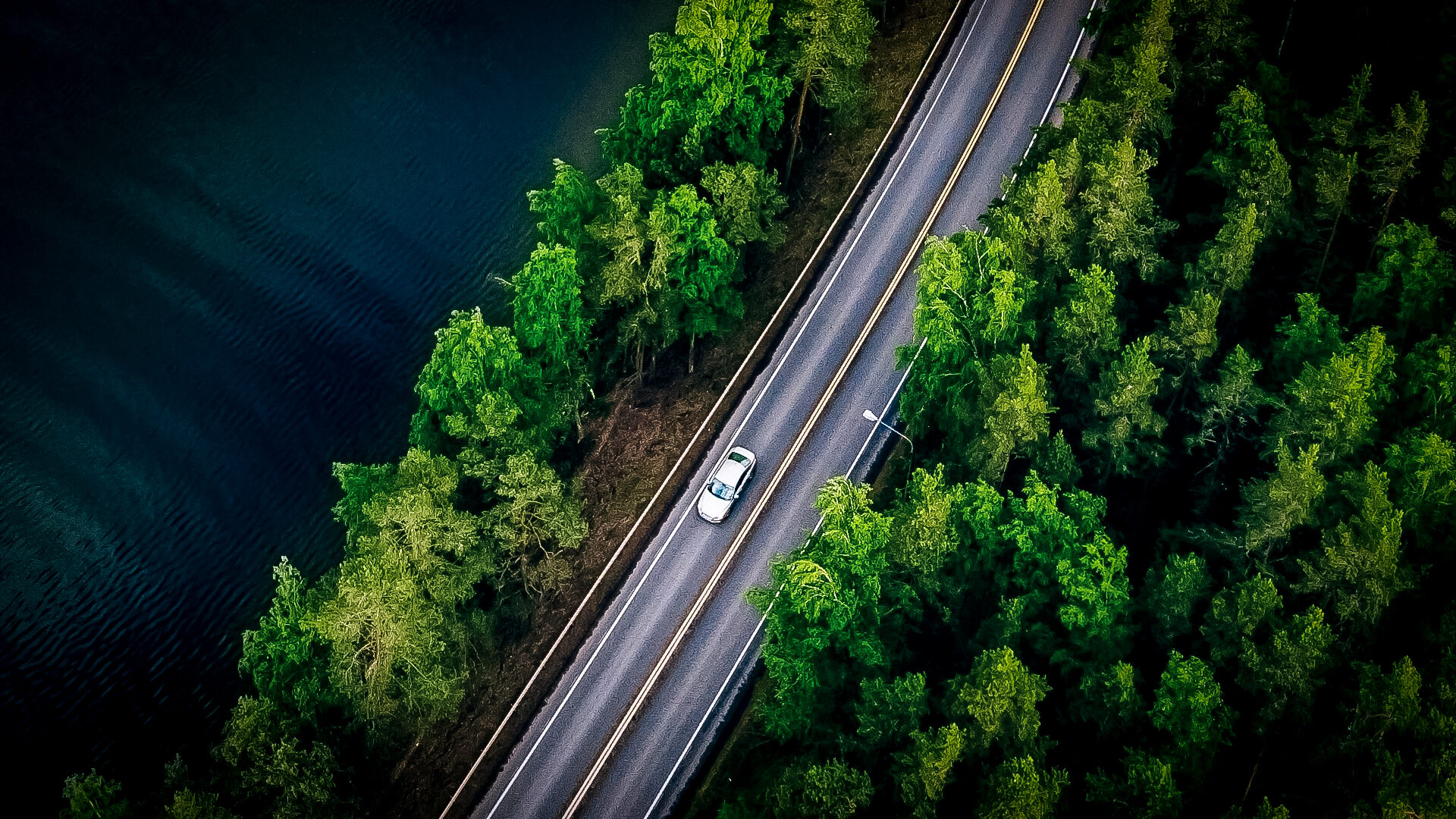 Groupe Pigeon Enrobe Dulcio.jpg