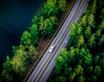 Groupe Pigeon Enrobe Dulcio.jpg
