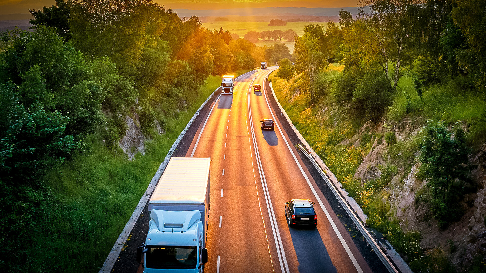 Groupe Pigeon Enrobe Optimus.jpg