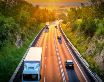 Groupe Pigeon Enrobe Optimus.jpg