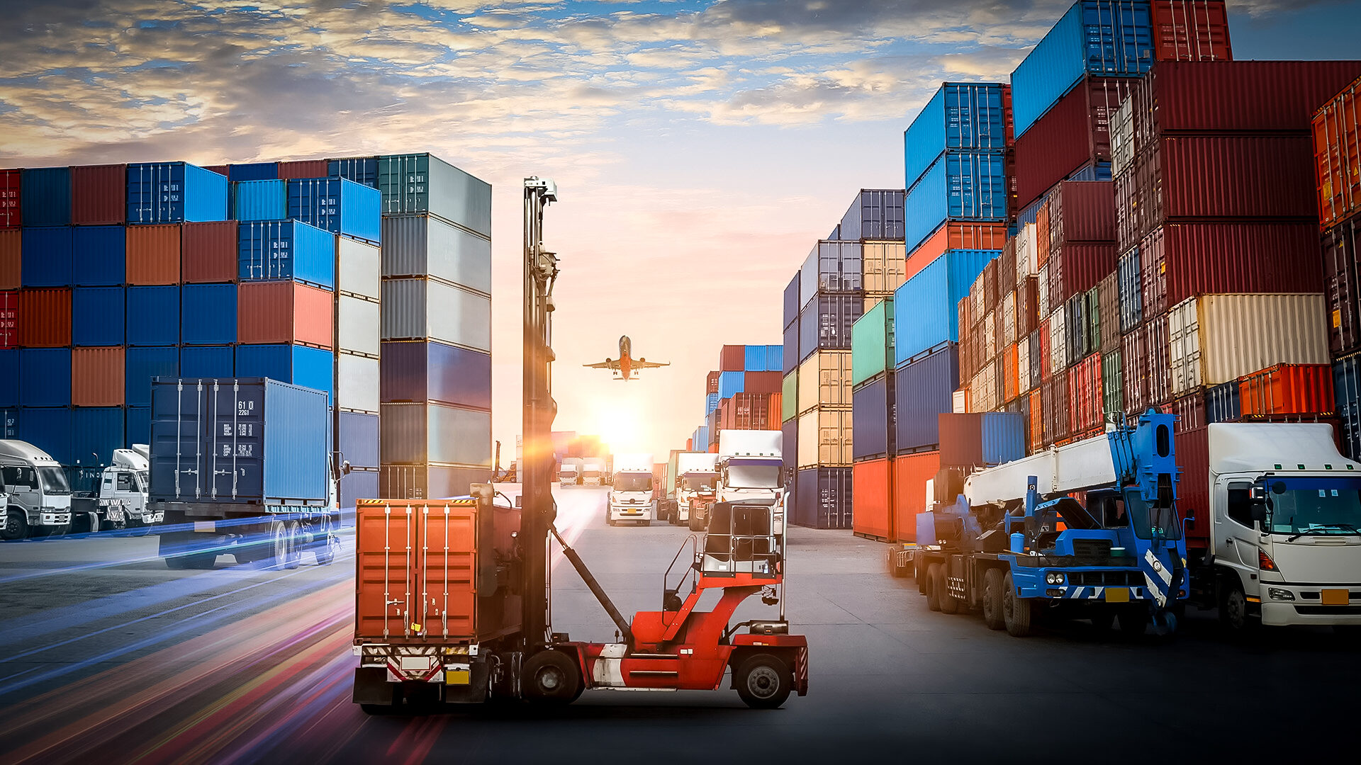 Groupe Pigeon Enrobe Percolus.jpg