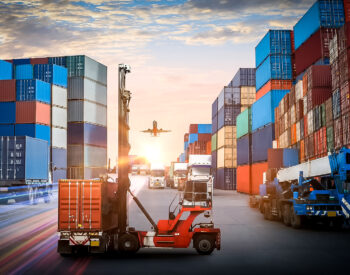 Groupe Pigeon Enrobe Percolus.jpg