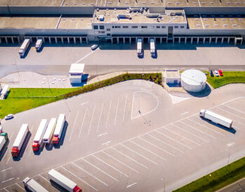 Groupe Pigeon Enrobe Primo.jpg