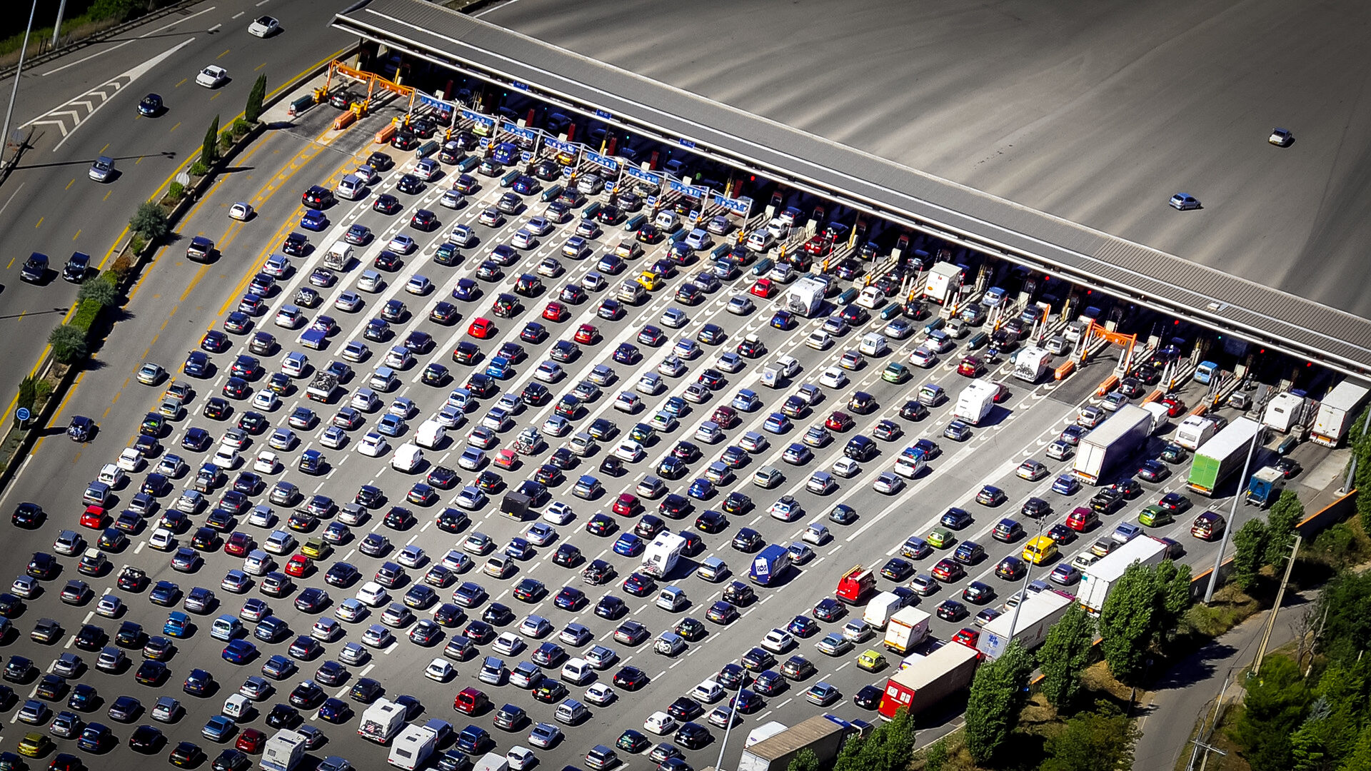 Groupe Pigeon Enrobe Robustus.jpg