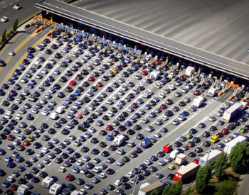 Groupe Pigeon Enrobe Robustus.jpg