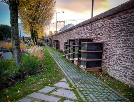 Groupe Pigeon Maconnerie Colombariums (1)