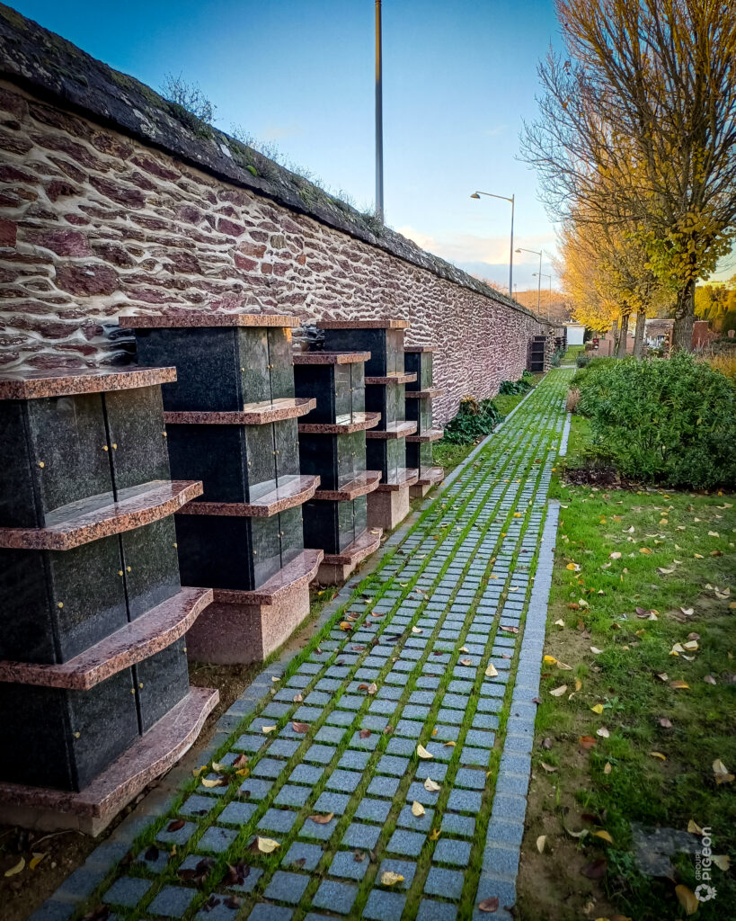 Groupe Pigeon Maconnerie Colombariums (3)