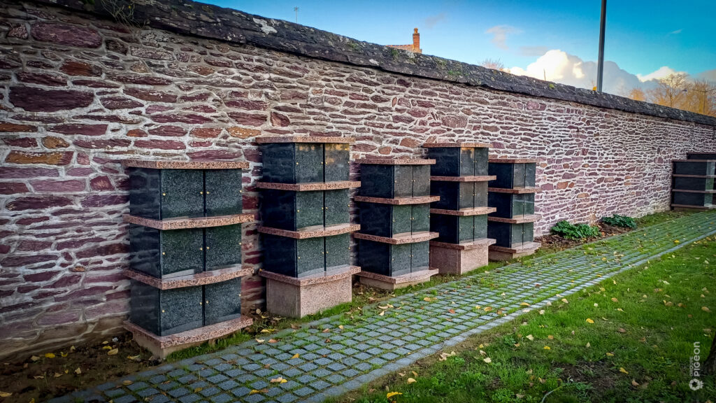 Groupe Pigeon Maconnerie Colombariums (4)