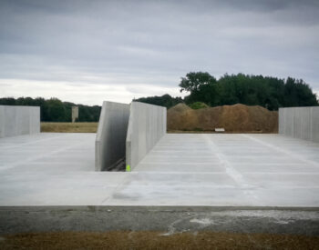 Groupe Pigeon Murs A Sceller.jpg