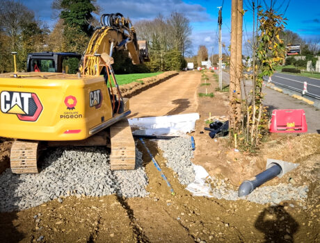 Groupe Pigeon Piste Cyclable (3)