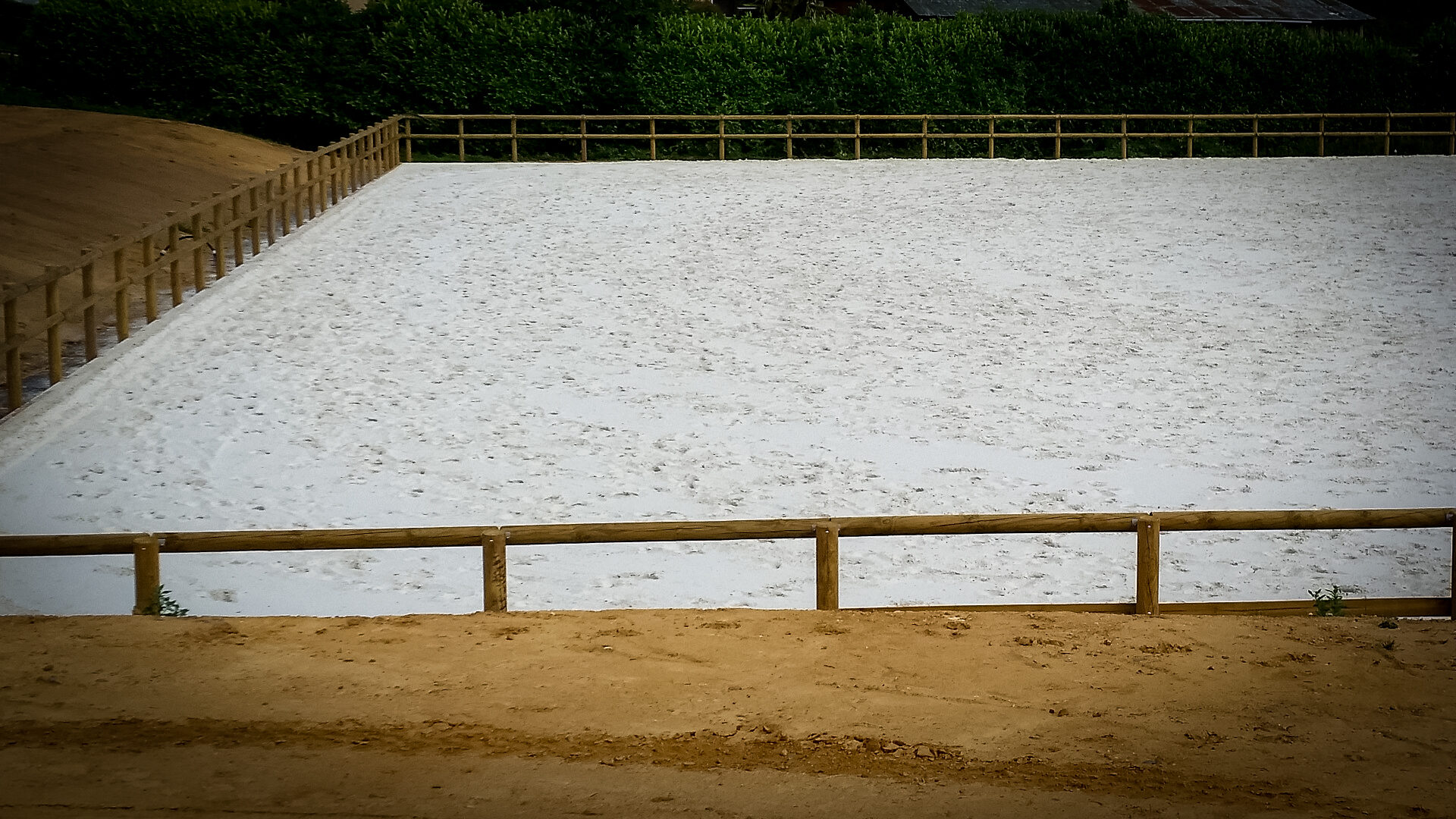 Groupe Pigeon Piste Equestre.jpg
