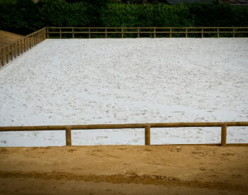 Groupe Pigeon Piste Equestre.jpg