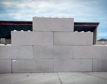 Groupe Pigeon Plugnbloc.jpg