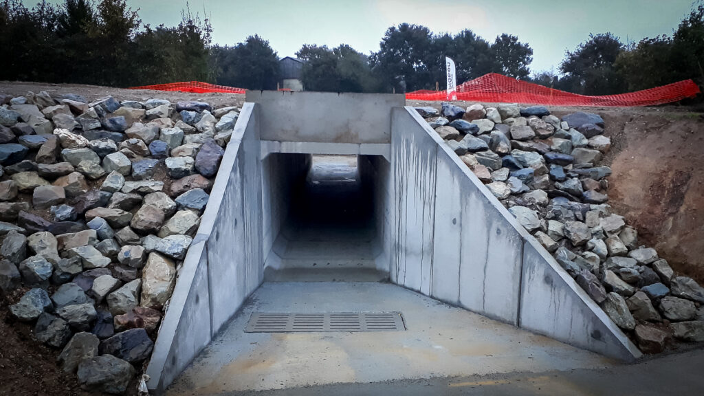 Groupe Pigeon Pont Cadre Boviduc