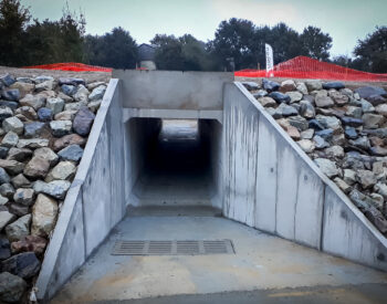 Groupe Pigeon Pont Cadre Boviduc