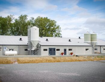 Groupe Pigeon Porcherie.jpg