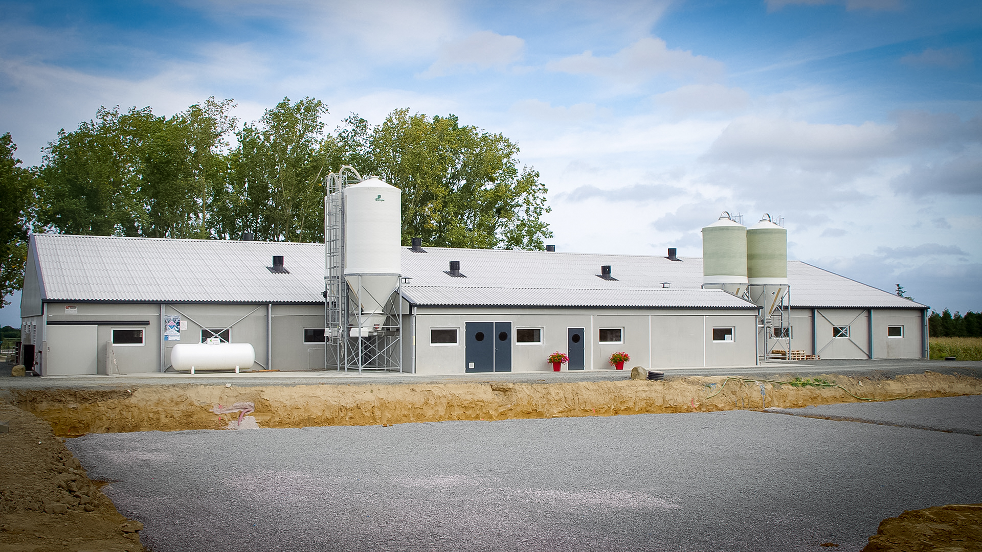 Groupe Pigeon Porcherie.jpg