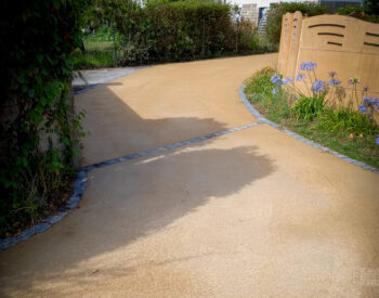 Groupe Pigeon Sabléo (4) 2