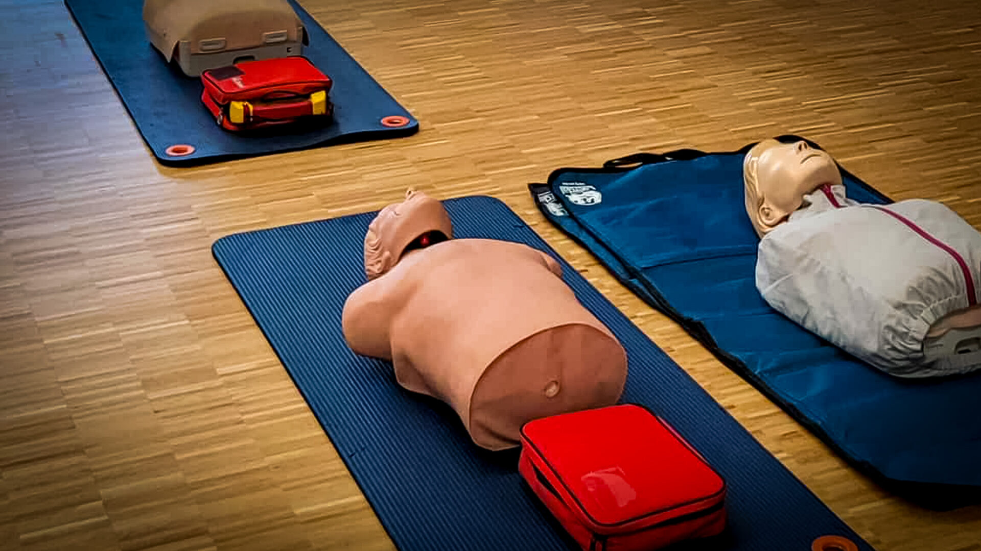 Groupe Pigeon Sst.jpg