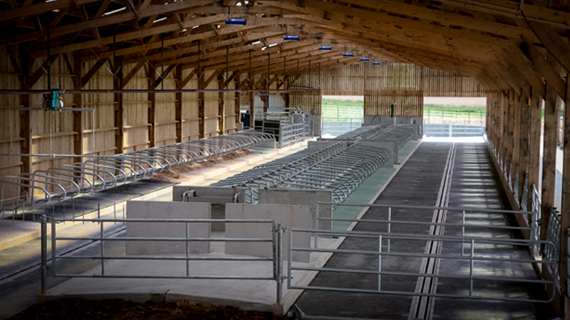 Groupe Pigeon Stabulation Bovins.jpg