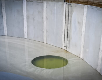 Groupe Pigeon Fosse Reserveco