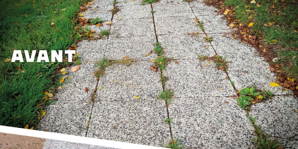 Réfection allée Barthélémy Groupe PIGEON