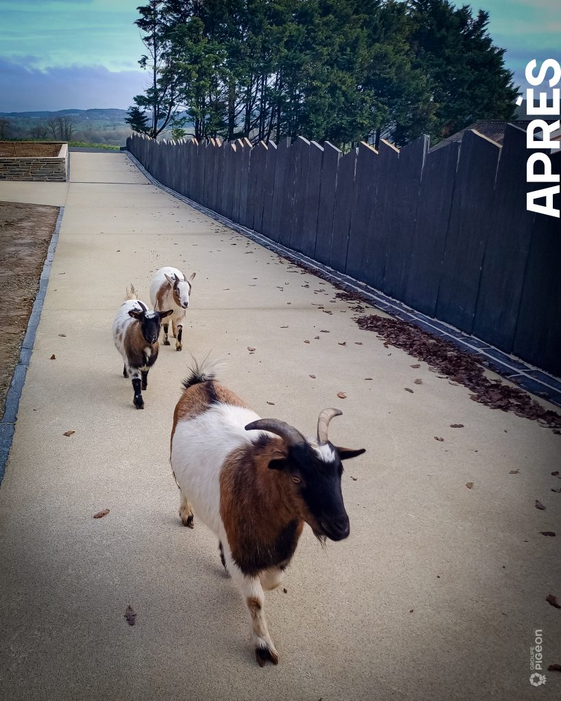 Groupe Pigeon Réhabiliation Silo (5)