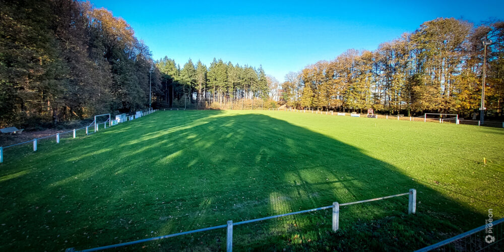Groupe PIGEON terrains de football Chemillé