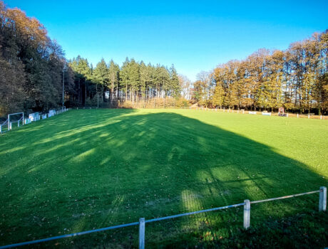 Groupe PIGEON terrains de football Chemillé