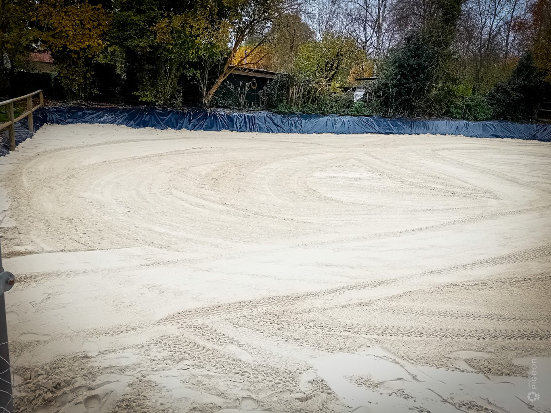 Groupe Pigeon Sable Blanc (1)