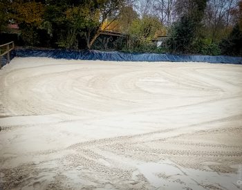 Groupe Pigeon Sable Blanc (1)