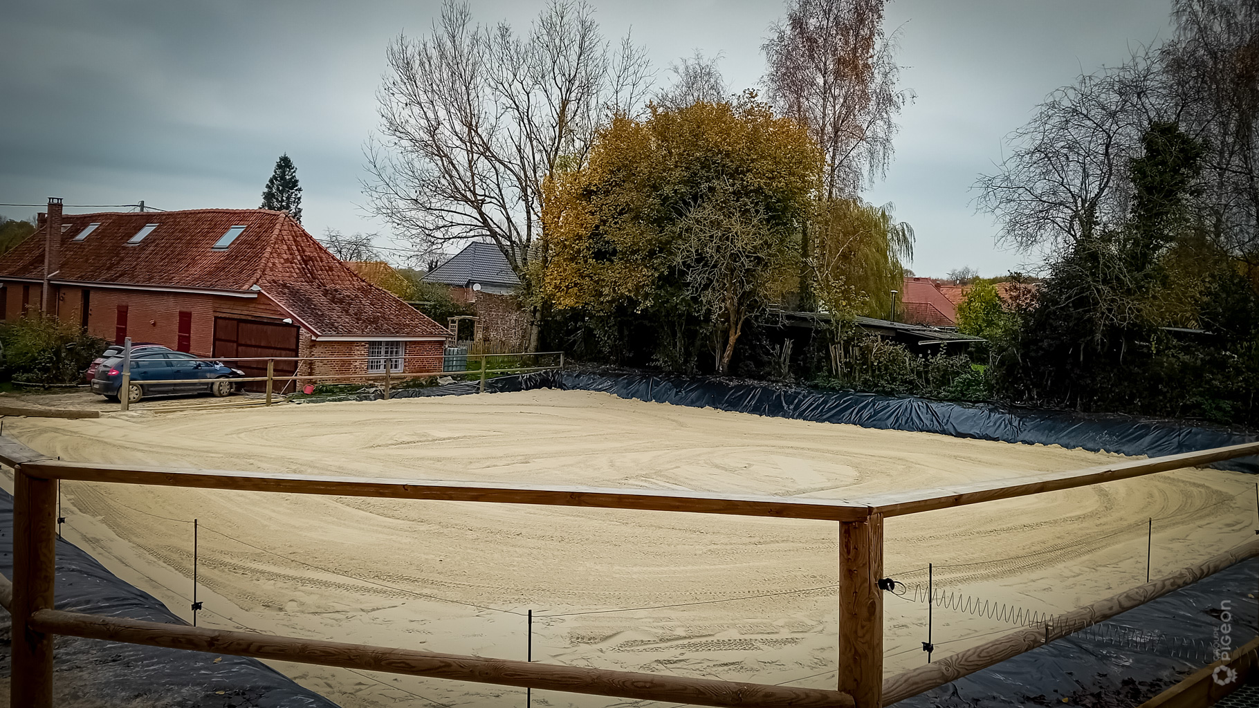 Groupe Pigeon Sable Blanc (3)