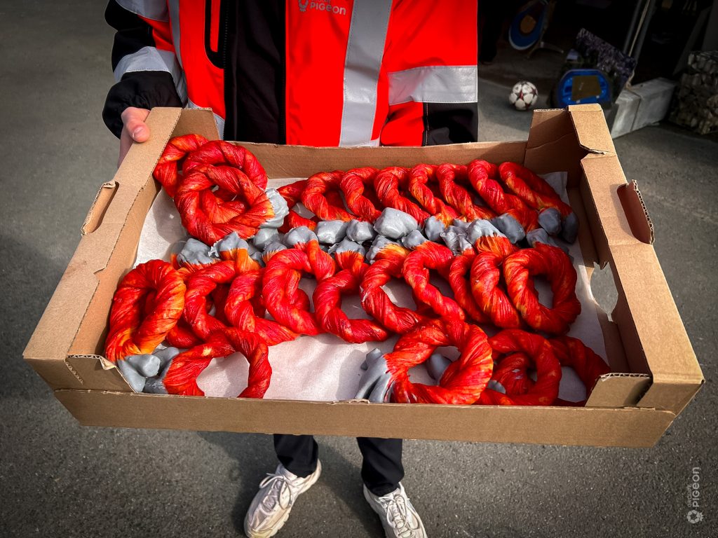 Groupe Pigeon Po Cherre (8)