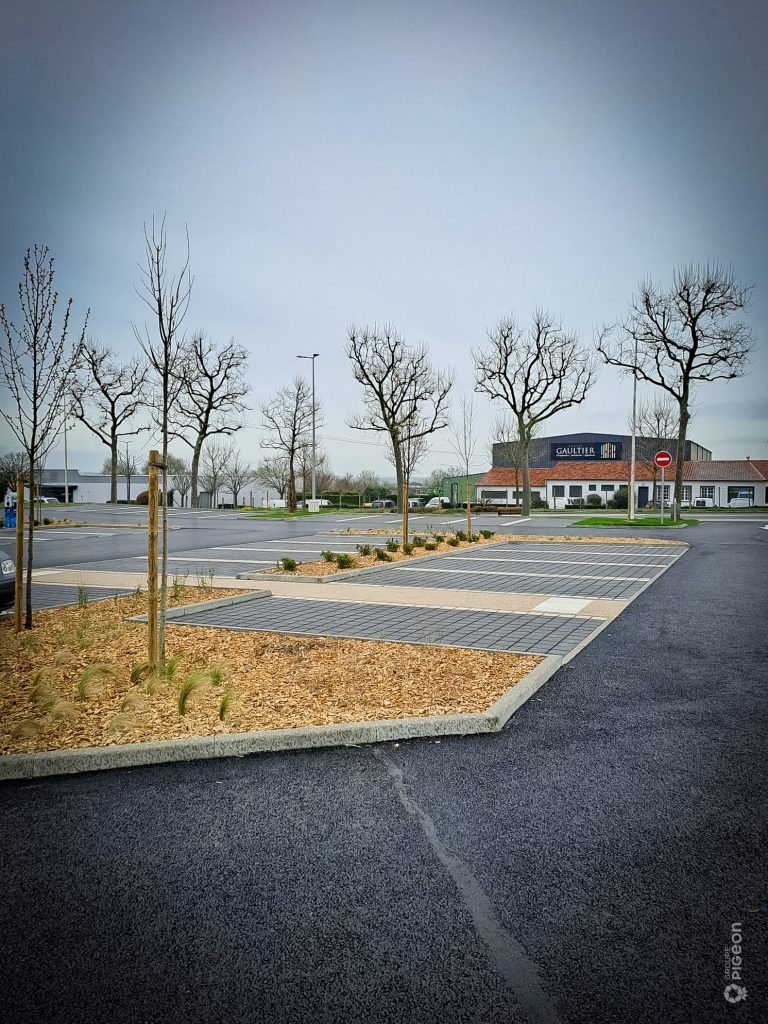 Groupe Pigeon Pavés Sfac (4)