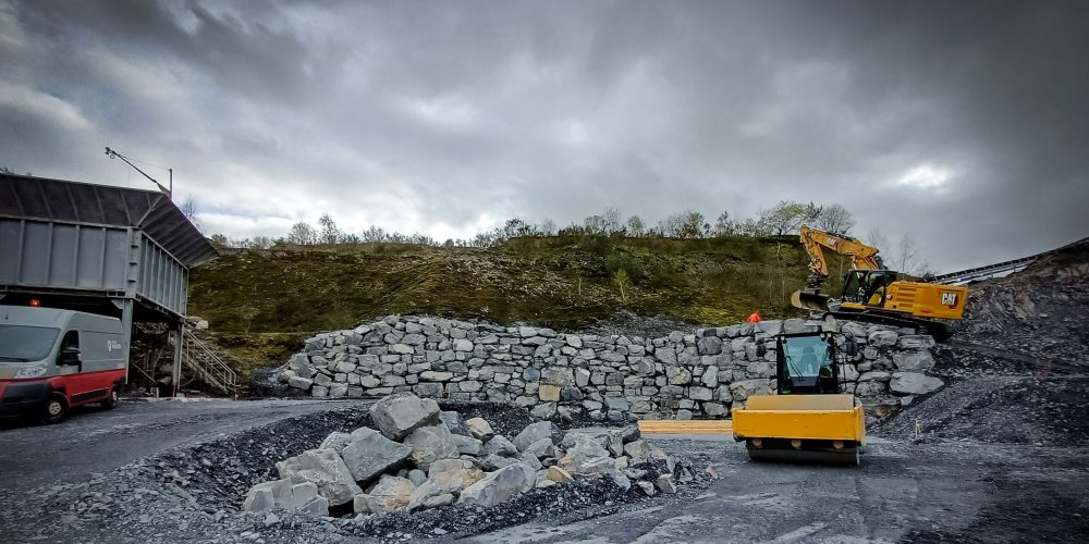 Groupe Pigeon Pigeon Carrières Martigné (1)