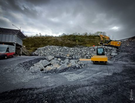 Groupe Pigeon Pigeon Carrières Martigné (1)