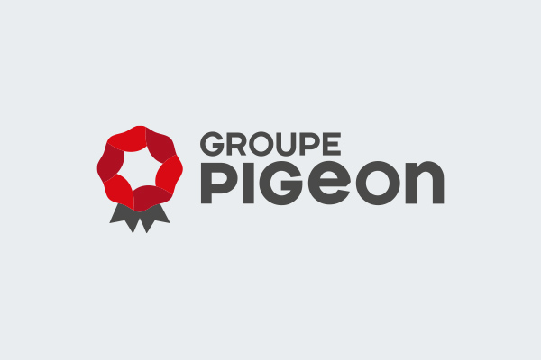 Lancement du site internet, actualité du Groupe Pigeon
